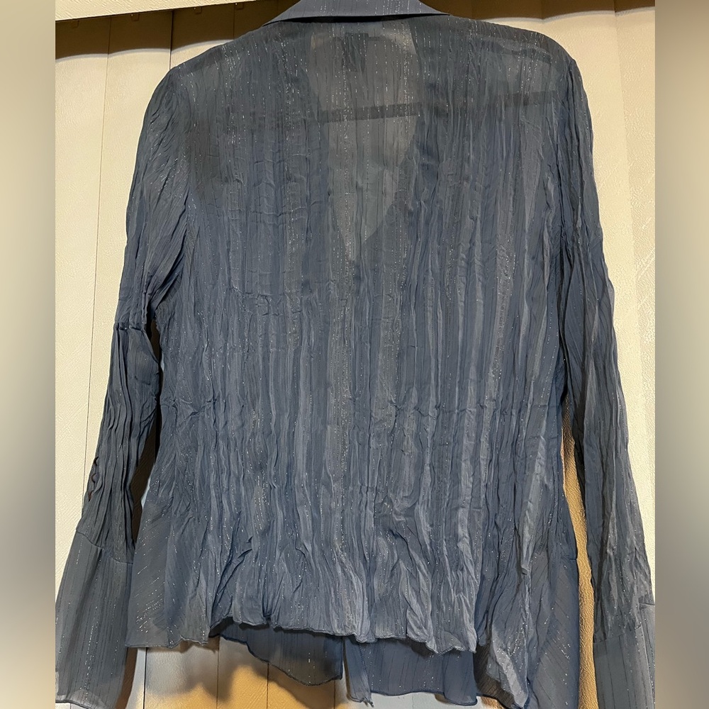 Studio 1940 Sheer Light Blue Blouse